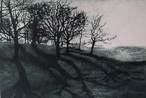 Shadows