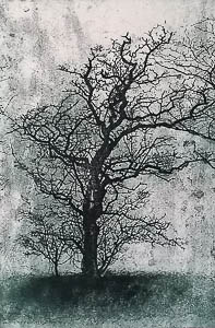 Weathered