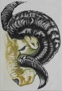 Ram